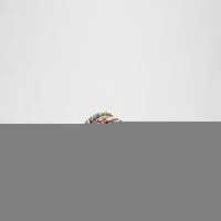 دمپایی تخت زنانه چندرنگ آلدو BEACHWALK – ALDO