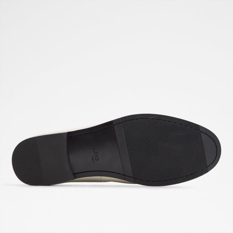 کفش لوفر مردانه اکرو آلدو SPEAKEASY – ALDO