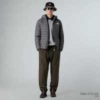 کاپشن نورث فیس مردانه Classic پَر غاز کلاهدار – The North Face