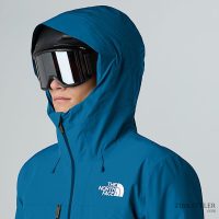 کاپشن نورث فیس مردانه Descendit – The North Face