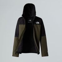 کاپشن نورث فیس مردانه Mountain Light Triclimate 3-in-1 GORE-TEX® – The North Face