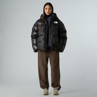 کاپشن نورث فیس Pertex Down AP – The North Face