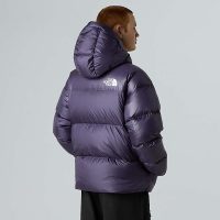 کاپشن نورث فیس Pertex Down AP – The North Face