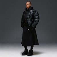 کاپشن نورث فیس چرم Pack Summit – The North Face