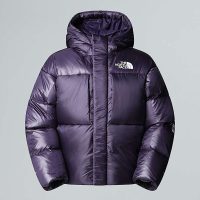 کاپشن نورث فیس Pertex Down AP – The North Face