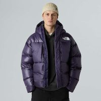 کاپشن نورث فیس Pertex Down AP – The North Face