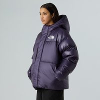 کاپشن نورث فیس Pertex Down AP – The North Face