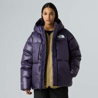 کاپشن نورث فیس Pertex Down AP – The North Face