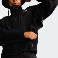 کاپشن نورث فیس زنانه Retro Denali اورجینال – The North Face