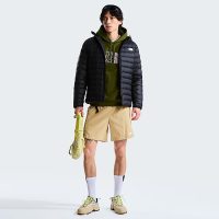 کاپشن نورث فیس مردانه Classic پَر غاز کلاهدار – The North Face