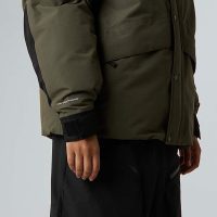 کاپشن نورث فیس مردانه پَر غاز Mountain – The North Face