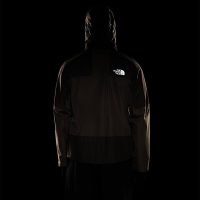 کاپشن نورث فیس مردانه Hike Devils Thumb GORE-TEX® – The North Face