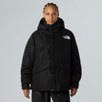 کاپشن نورث فیس مردانه Mountain پَر غاز – The North Face