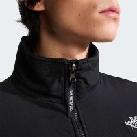 کاپشن نورث فیس مردانه Retro Denali – The North Face