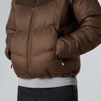 کاپشن نورث فیس مردانه Saikuru – The North Face