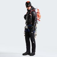 کاپشن نورث فیس مردانه Summit Breithorn پَر غاز کلاهدار – The North Face