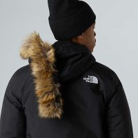 کاپشن نورث فیس مردانه Zaneck بازیافتی – The North Face