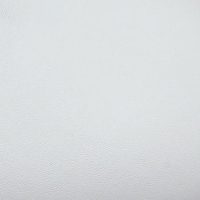 کتونی مردانه سفید آلدو ALEKS-TR – ALDO