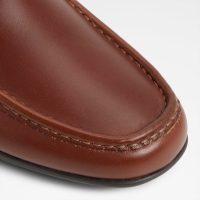 کفش لوفر مردانه قهوه‌ای آلدو ORLOVOFLEXX-IN – ALDO