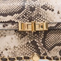 کیف زنانه چند رنگ آلدو ZOEMINI – ALDO