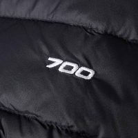 کاپشن نورث فیس مردانه Classic پَر غاز – The North Face