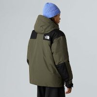 کاپشن نورث فیس مردانه پَر غاز Mountain – The North Face