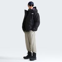 کاپشن نورث فیس مردانه Mountain پَر غاز – The North Face