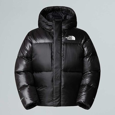 کاپشن نورث فیس Pertex Down AP – The North Face