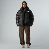 کاپشن نورث فیس Pertex Down AP – The North Face