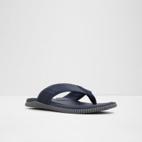 دمپایی مردانه لاجوردی RIPTIDE – ALDO