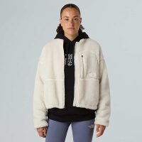 کاپشن نورث فیس زنانه Extreme Pile Tam Boy زیپ‌دار Polar اورجینال – The North Face