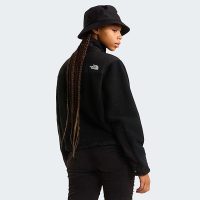 کاپشن نورث فیس زنانه Retro Denali اورجینال – The North Face