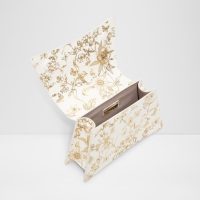 کلچ زنانه طلایی DESERTROSE – ALDO